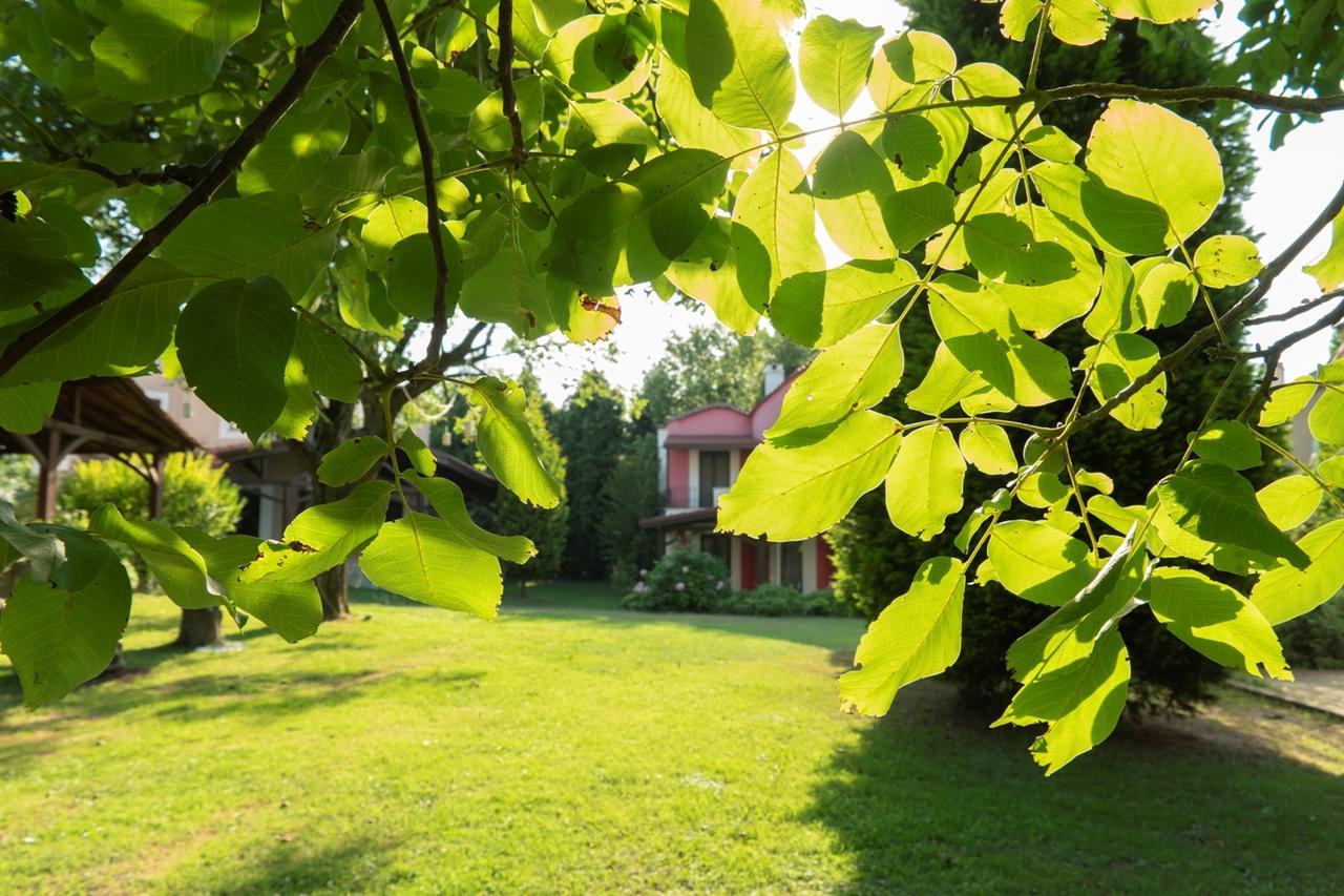 Kirkpinar Konaklari Villa Сапанджа Екстериор снимка